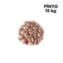 product363796pinto10.jpg