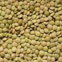 product57727greenlentils.jpg